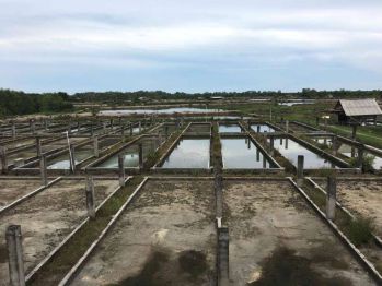 DIJUAL TANAH DAN BANGUNAN