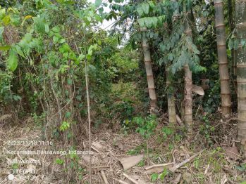 Dijual Tanah 896 meter