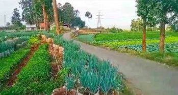 Tanah Pinggir Jalan Ciwidey