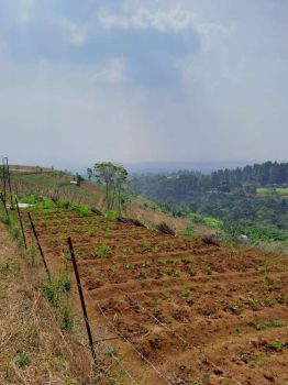 DI JUAL TANAH PANCAWATI BOGOR