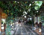 thumbnail-di-jual-eks-resto-kota-gede-kota-yogyakarta-2