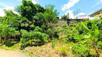 Tanah Murah Babakan Madang Bogor 350 Jt Dekat Aeon Sentul City