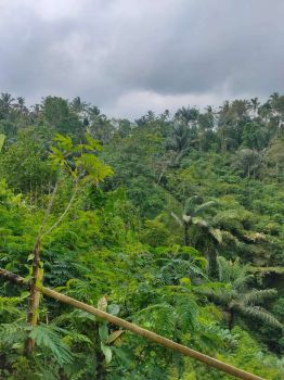 Dijual Tanah Lembah Hijau Ubud