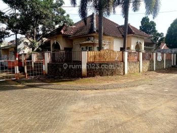 Murah dan BU di Araya