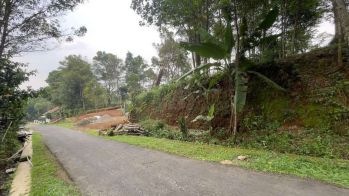 Dijual Murah Tanah Kebun Manggis 851 m2 di Bojong Purwakarta