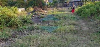 Tanah Di Pagarwojo Perum Taman Dika