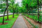 thumbnail-keren-dp-2jtan-mustika-park-place-best-home-at-setu-bekasi-7