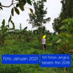 thumbnail-jual-cepat-kebun-durenjatijengkol-267-ha-2km-dari-polsek-leuwidam-2