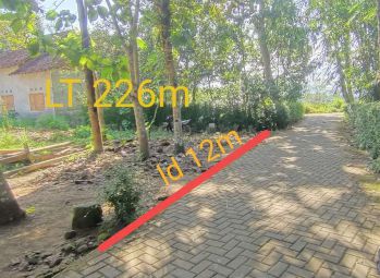 DI JUAL TNH CANTIK DEKAT PUKESMAS MINGGIR LUAS 226M HARGA 1,2jt NEGO4