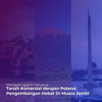 Tanah Luas 4.1 Ha di Muaro Jambi! ️Investasi Strategis deng