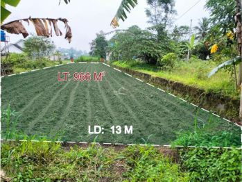 Tanah sawah 966m2 cocok untuk bercocok tanam