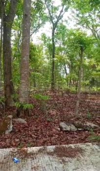 DIJUAL TANAH PEKARANGAN UNTUK HUNIAN ATAU INVESTASI, MURAH, JK11437