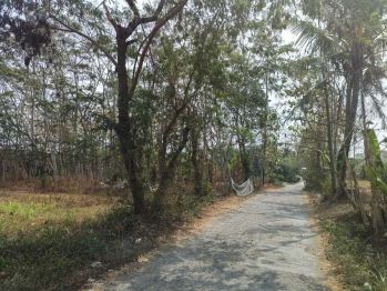 Dijual Tanah Siap AJB di Tajem Timur UNRIYO Kampus 2