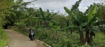 Dijual Tanah pinggir jalan 42 Tumbak