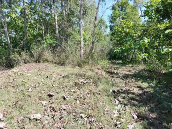 JUAL TANAH KULONPROGO DI GIRIMULYO VIEW LOS