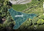 thumbnail-awesome-land-for-sale-in-tumbak-bayuh-pererenan-8