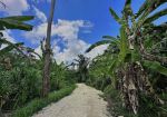 thumbnail-awesome-land-for-sale-in-tumbak-bayuh-pererenan-6