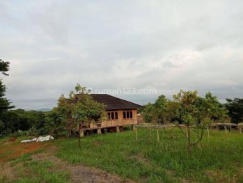 Di jual tanah di cisirem bantar gadung luas 5,6ha surat shm harga 50rb/m