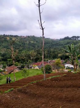 Lokasi Asri Buat ternak / villa d Bogor selatan
