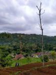 thumbnail-lokasi-asri-buat-ternak-villa-d-bogor-selatan-2