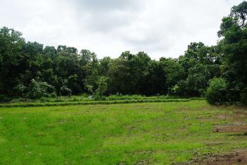 Jual Tanah Pleret Jogja, 7 Menit Pasar Pleret