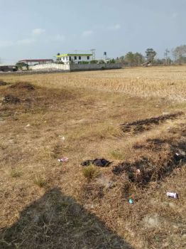 Jual tanah sawah 11 rante utk brgkt UMROH sekeluarga