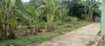 Dijual Tanah Dikranggan Jatisampurna Bekasi Cocok Untuk Kontrakan