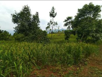 Oper Hak/dijual Tanah Garapan