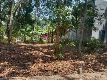 Jual Segera Tanah murah dekat UNNES Gunungpati