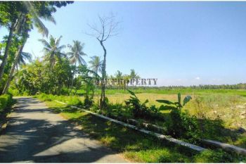 Tanah Strategis Timur Bandara Yia Wates, Prospek Investasi