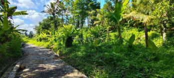 Di jual Tanah  Cocok villa full jungle