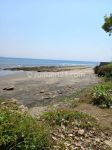 thumbnail-hot-list-di-jual-tanah-loss-pantai-view-laut-lokasi-cupel-negara-jembrana-1