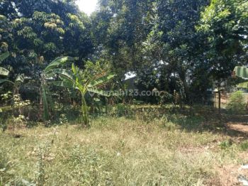 Area Sdit Al Fatih Tanah Strategis Siap Ajb Notaris