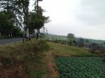 thumbnail-tanah-luas-harga-nego-view-alam-dekat-pemandian-cangar-kota-batu-2