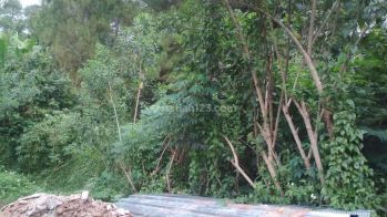 Jual Cepat Tanah di Ciburial Cimenyan Bandung