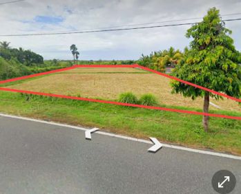 TANAH 1 HEKTAR PINGGIR JALAN UTAMA NEGARA PENGAMBENGAN