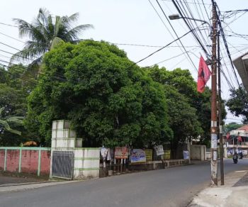 Tanah Kavling Dijual Super Murah Pinggir Jalan Di Cireundeu