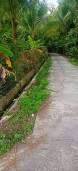 DIJUAL TANAH PEKARANGAN VIEW SAWAH, MURAH MERIAH, DKAT BANDARA,JK11498