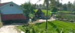 thumbnail-sell-tanah-jual-sawah-produktif-5