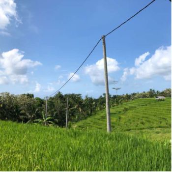 Sell Tanah: Kebun view sawah