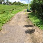 thumbnail-sell-tanah-kebun-view-sawah-5