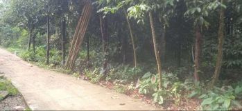 Jual Tanah Siap Bangun Daerah Jasinga Bogor. di Daerah Perumahan Warga