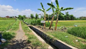 Jual Tanah di Baturetno Banguntapan