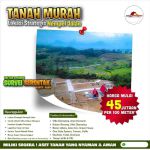 thumbnail-dijual-tanah-villa-kebun-dibogor-perizinan-lengkap-8