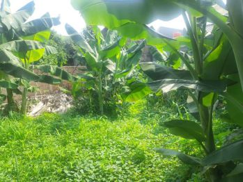 DIJUAL MURAH TANAH. BU. GDC DEPOK. LT 214 HANYA 1.950.000/M. MURAH