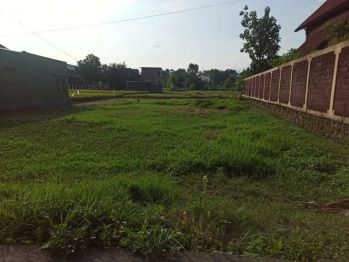 Sawah 575 m2 jalur kuning di nogotirto gamping sleman