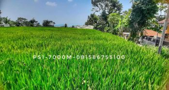 Dijual tanah subur tepi jalan lokasi bagus dekat jl nasional