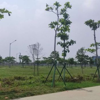 Kavling Komersial di Pik2 , Jakarta Utara Min 5 Tahun 1.200 m²