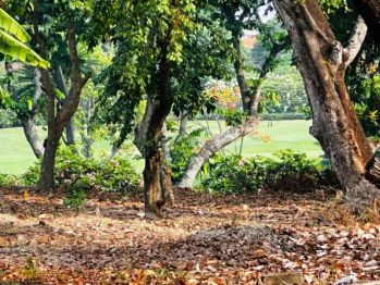 Kavling Bukit Golf Pondok Indah Jakarta Selatan view lapangan golf