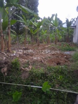 Sell Tanah: Tanah dijual